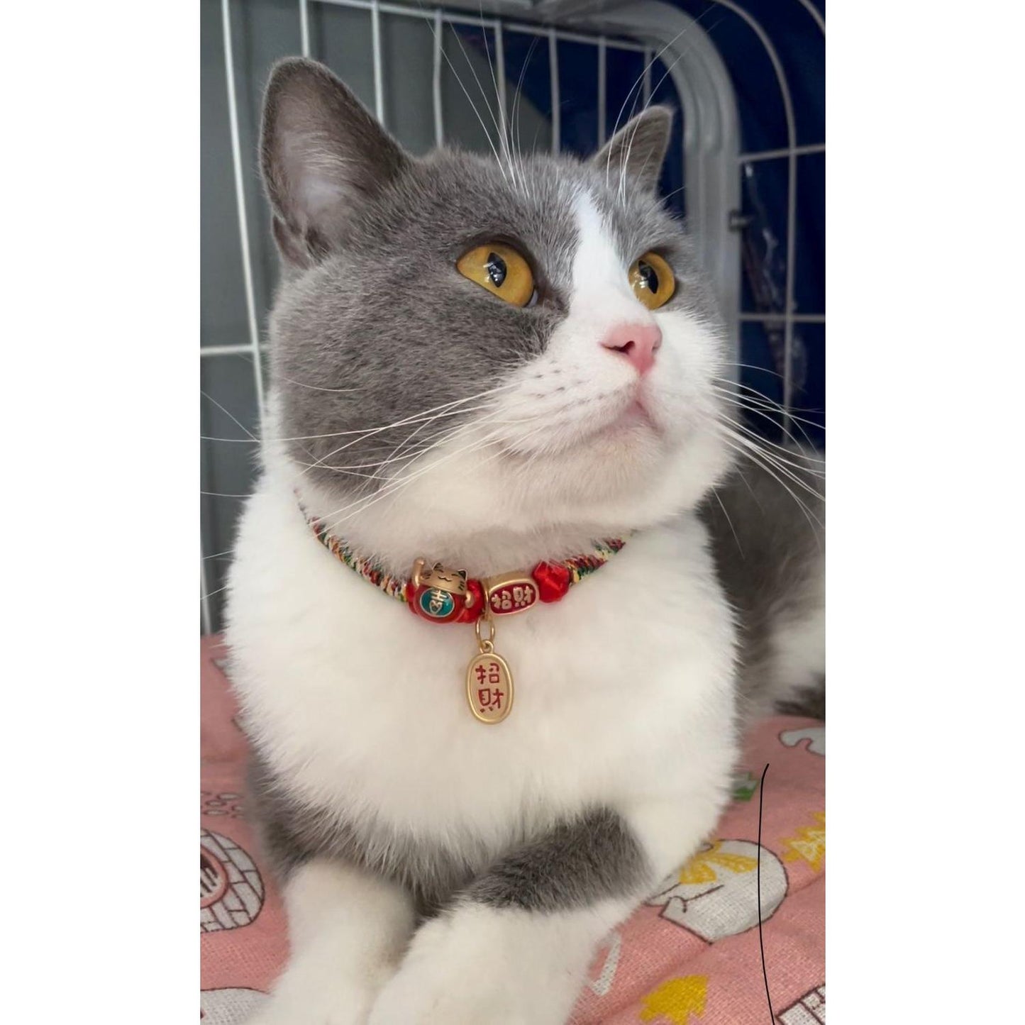 PT1001 collar 2 pcs lot handmade woven fortune cat for cat or dog pet kawaii maneki