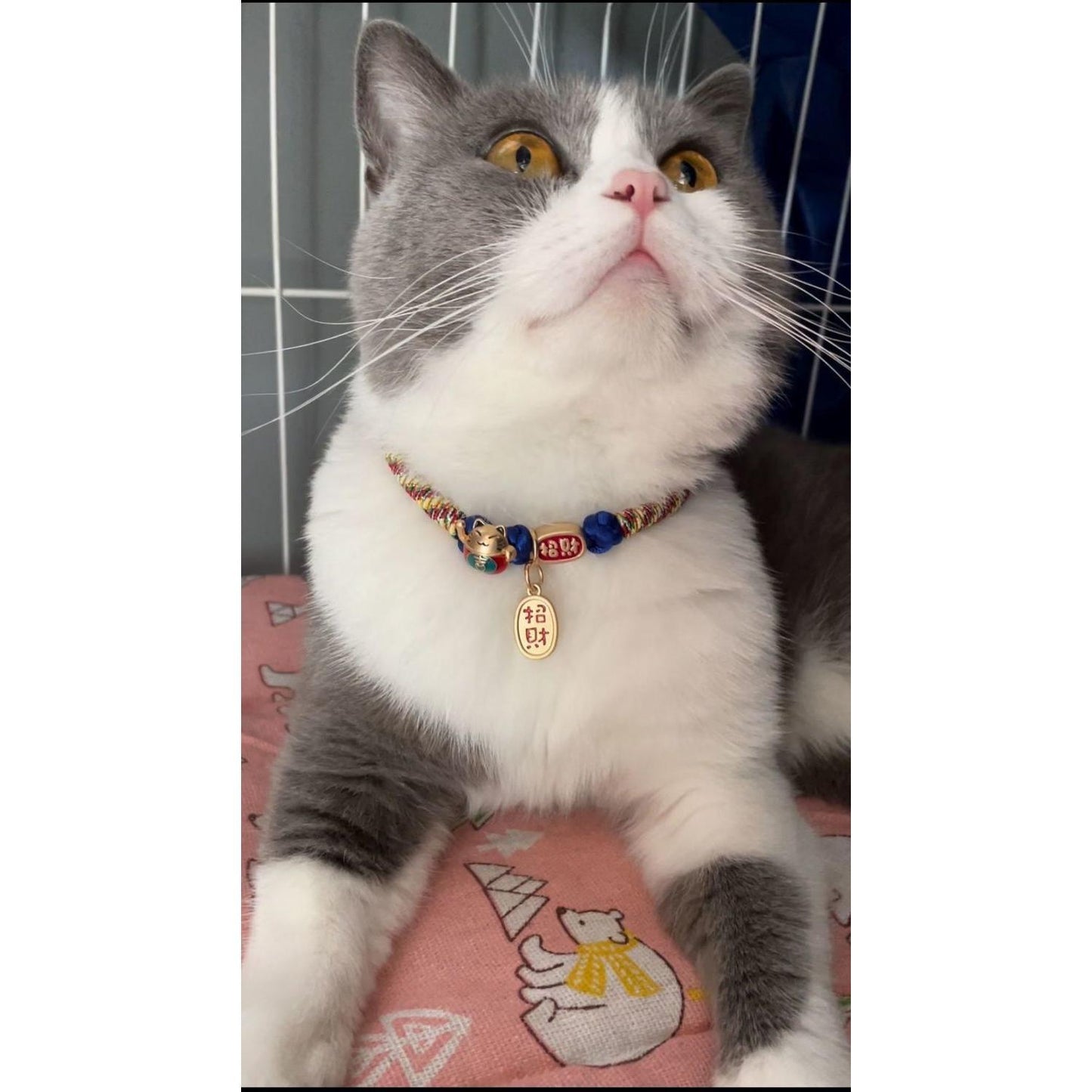 PT1001 collar 2 pcs lot handmade woven fortune cat for cat or dog pet kawaii maneki